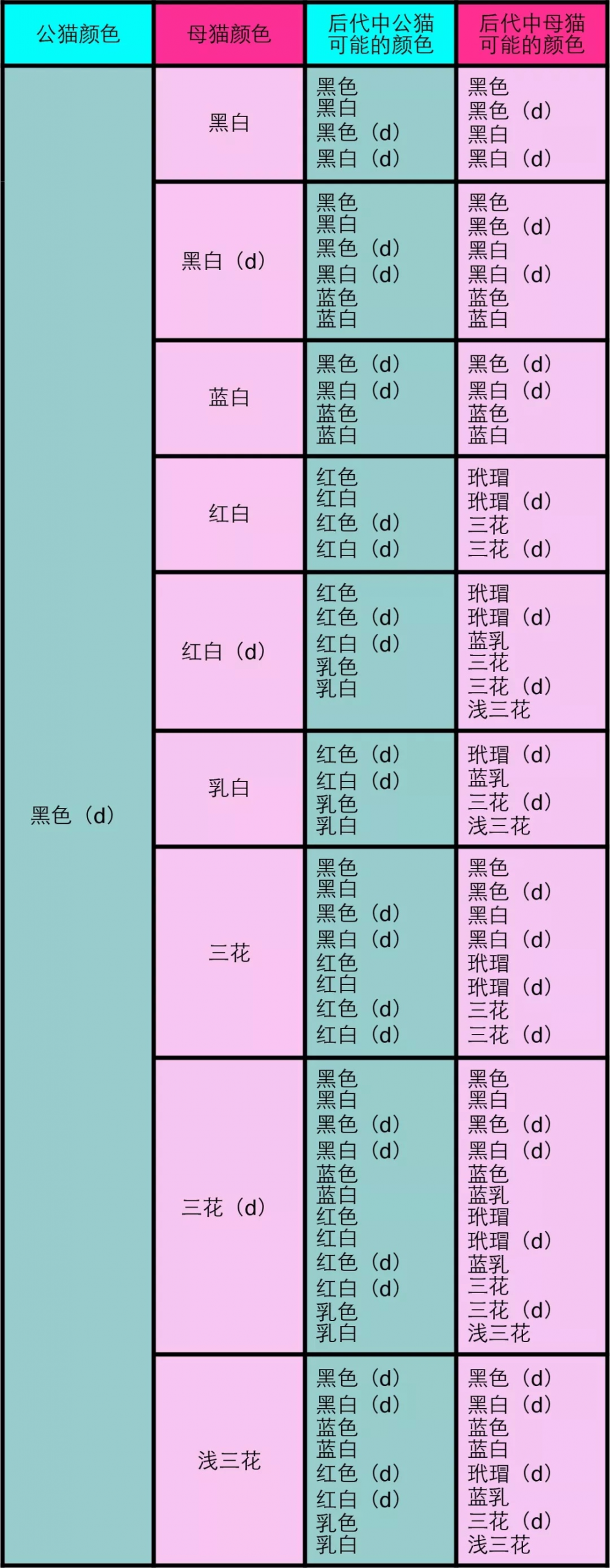 纯色公与双色母或三花2