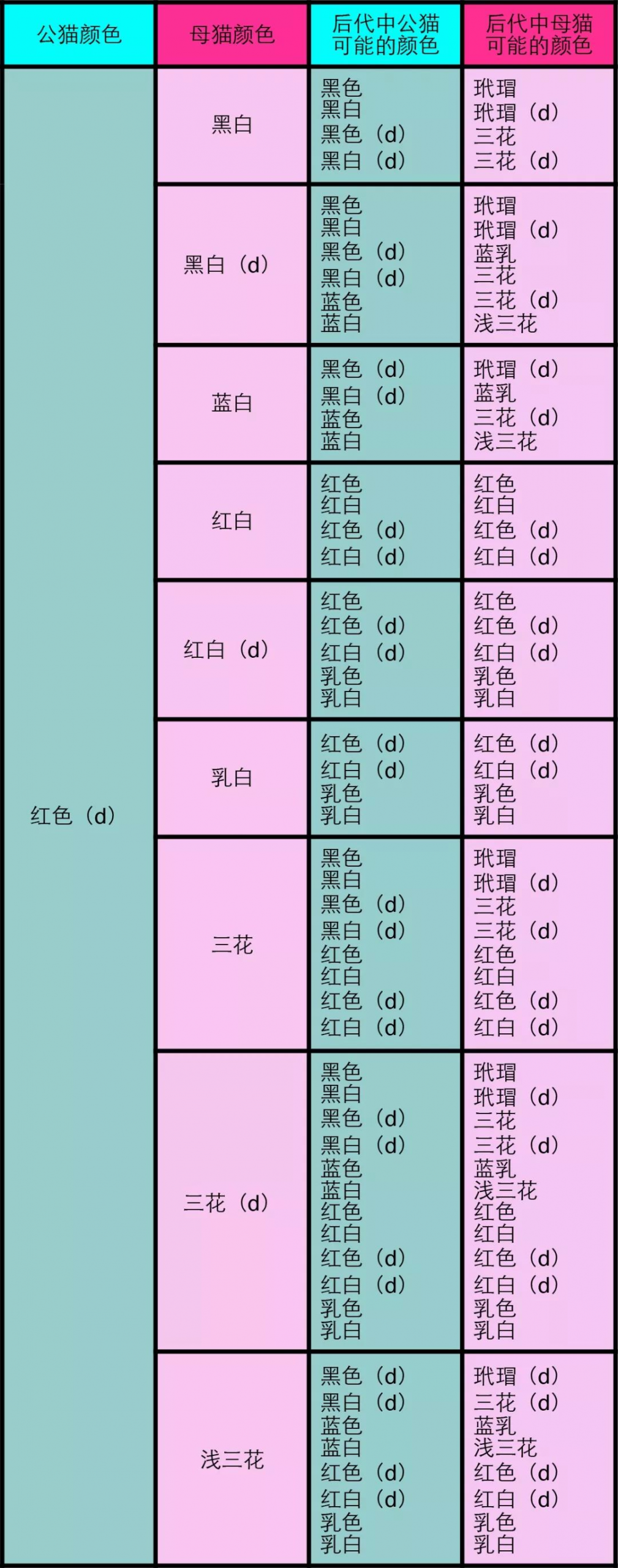 纯色公与双色母或三花5