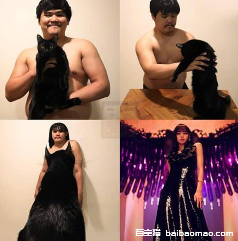 泰国小哥用猫低成本Cosplay，也太还原了哈哈哈！