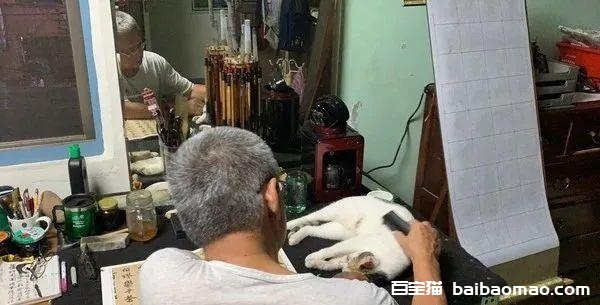 曾说要丢猫，如今喵孙霸占字帖，严父秒让位“站着练书法”