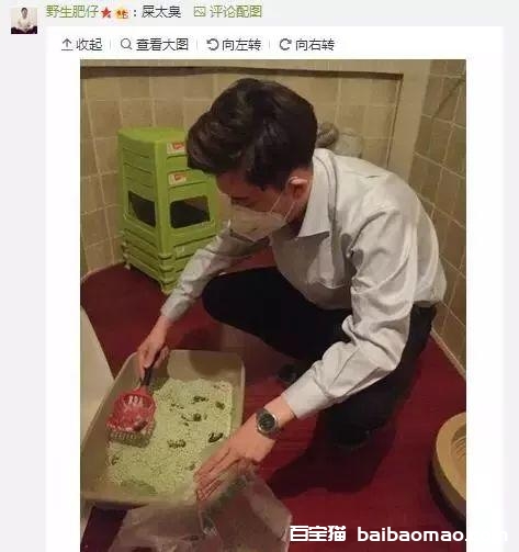 讲真！喵大人也有很多让人非常生气的时候…