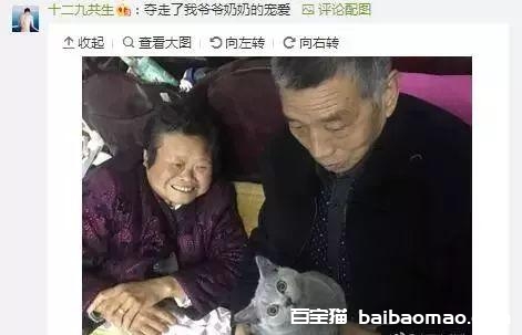 讲真！喵大人也有很多让人非常生气的时候…