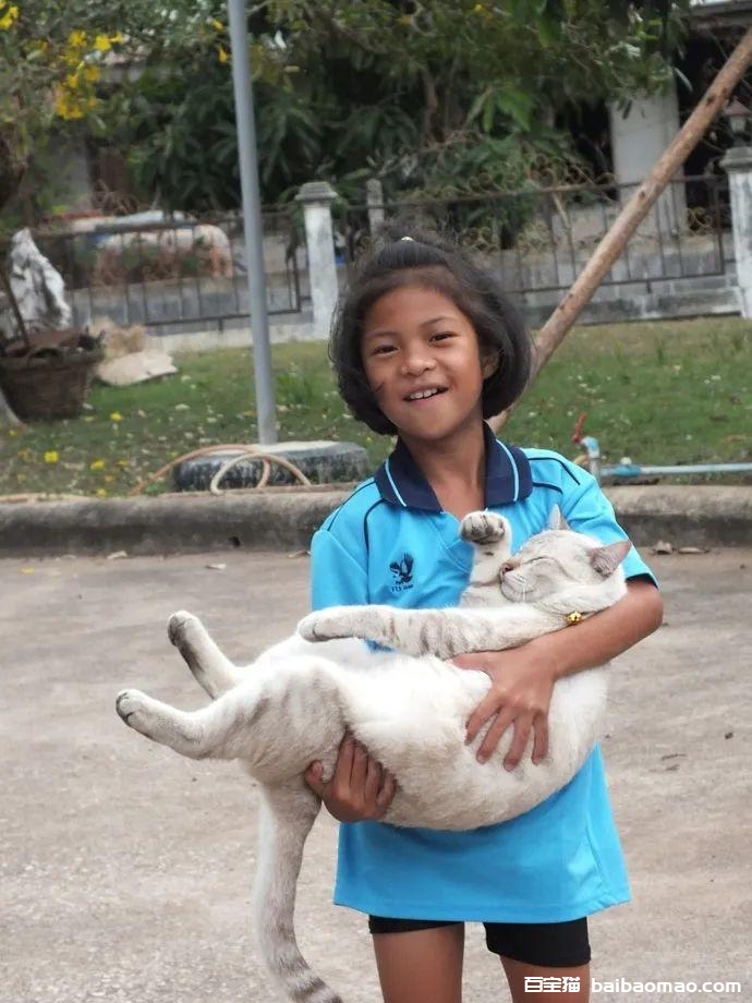 女儿说一定要养猫，妈妈就给养了一只，没想一年后，女儿都抱不动了！