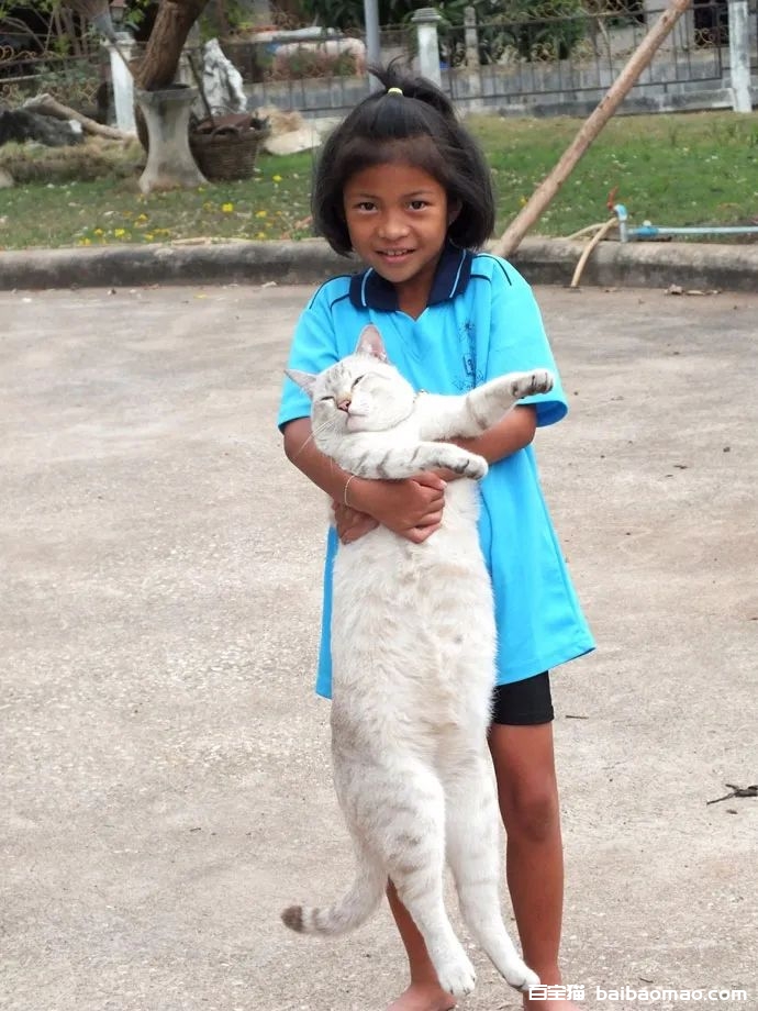 女儿说一定要养猫，妈妈就给养了一只，没想一年后，女儿都抱不动了！