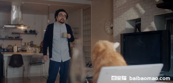 日本Google广告商拍摄7种猫奴的幸福瞬间。
