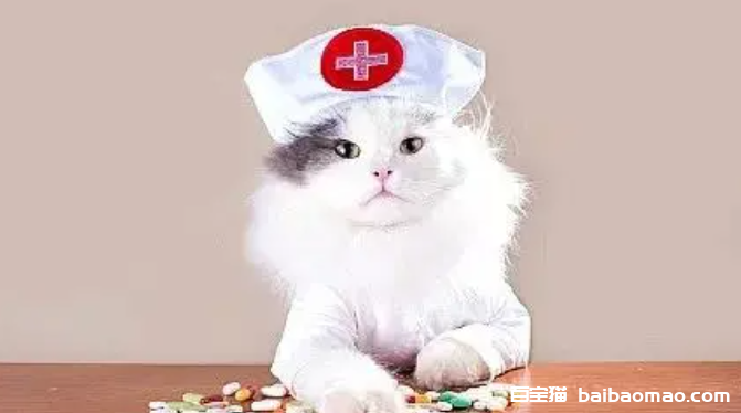 自己如何在家给猫做体检？