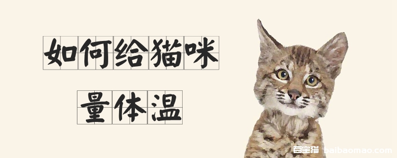 如何给猫咪量体温