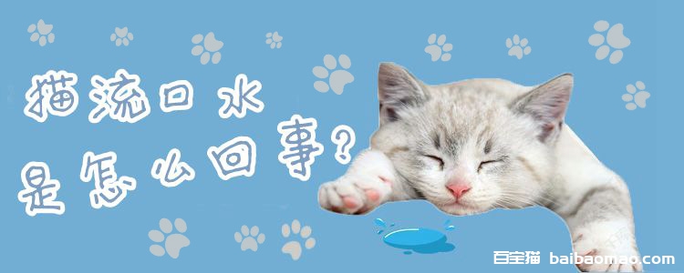 猫流口水是怎么回事