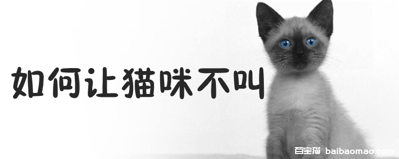 如何让猫咪不叫