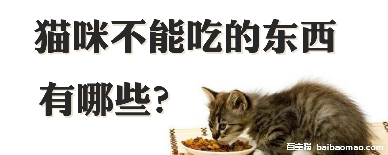 猫咪不能吃的东西有哪些