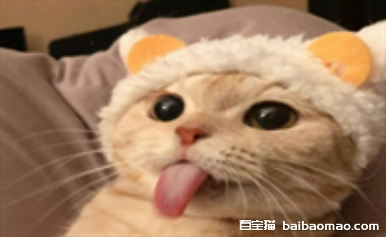 猫咪吐舌头是啥意思