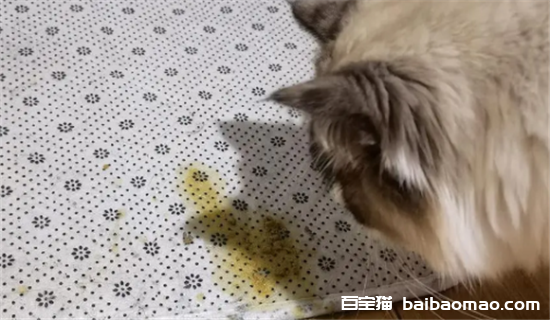 猫呕吐的原因及治疗办法