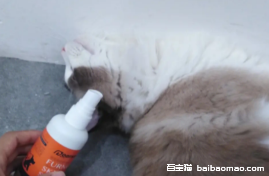 猫皮肤病用什么药最好