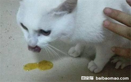 猫呕吐是什么原因引起