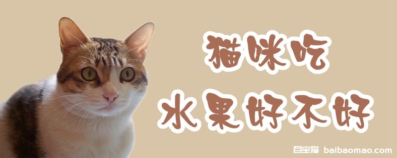 猫咪吃水果好不好