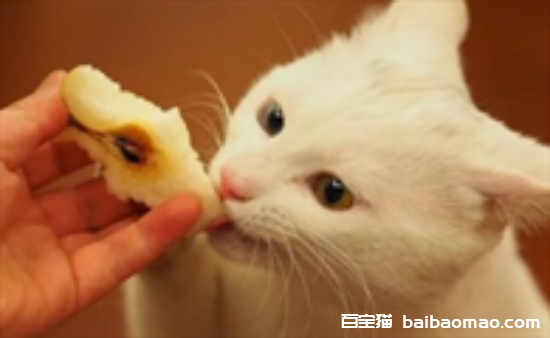 猫能吃梨吗