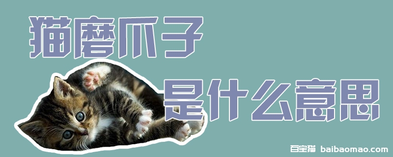 猫磨爪子是什么意思