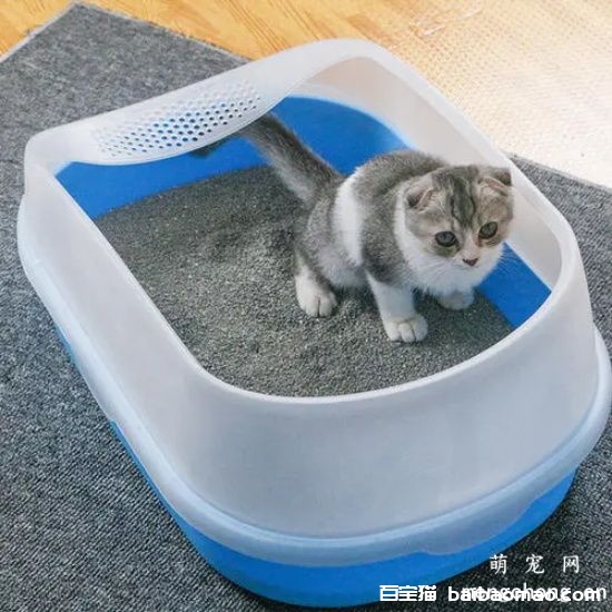 如何让猫咪在猫砂盆里大小便？