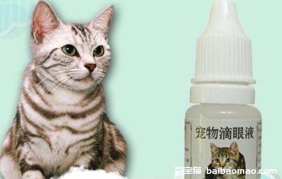 猫用消炎眼药水哪个好