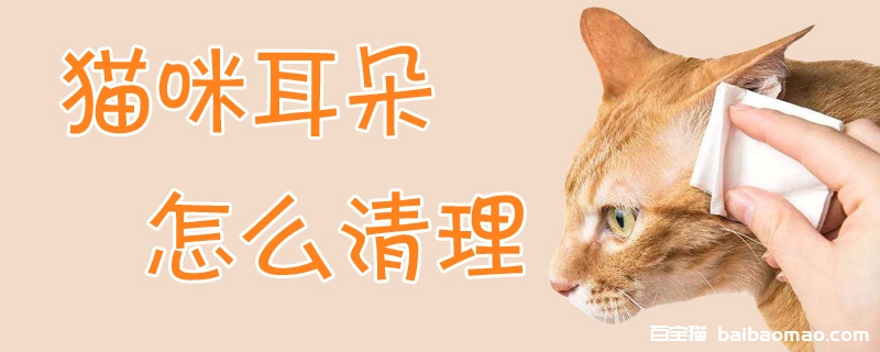 猫咪耳朵怎么清理