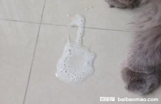 猫一直吐白色的粘液和白沫