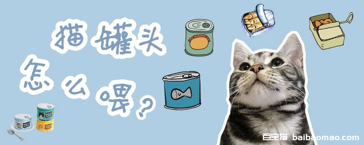 猫罐头怎么喂