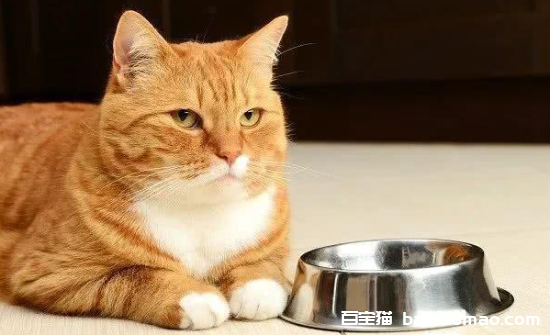 猫咪挑食怎么治？排行榜靠前适口性好的主食冻干推荐