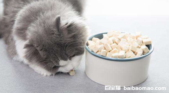 猫咪挑食怎么治？排行榜靠前适口性好的主食冻干推荐