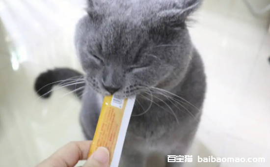 猫一天可以吃几条猫条