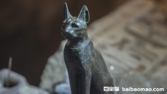 埃及金字塔里的猫，究竟是怎么一回事